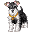 pixelschnauzerbark