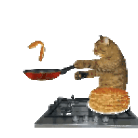 CatCooking