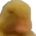 no