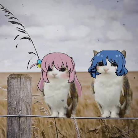 bocchiandryo