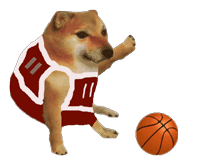 BasketballDoge