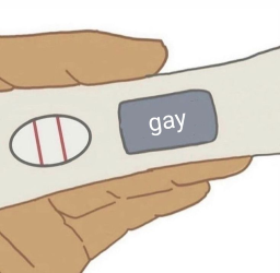 GAYTEST