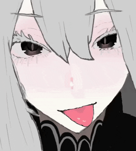 Echidnasilly