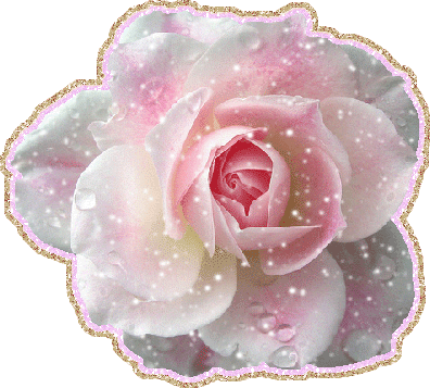 pinksparklingrose